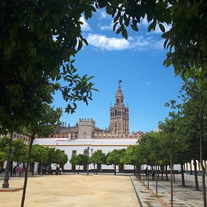 Neighborhoods of Seville